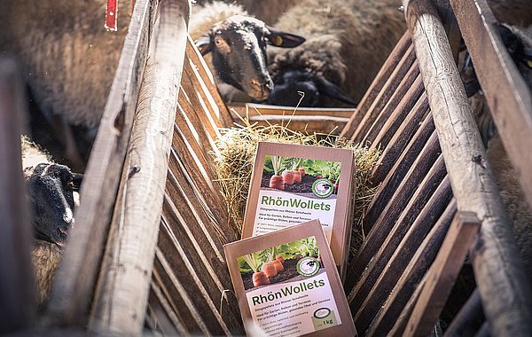 Düngepellets aus Schafwolle ©Sebastian Mannert Düngepellets aus Schafwolle
