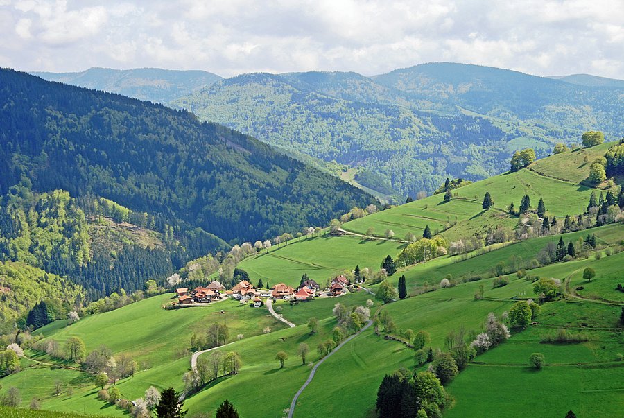 Aussicht auf eine Mittelgebirgslandschaft mit Dorf und Nadelwäldern im Hintergrund
