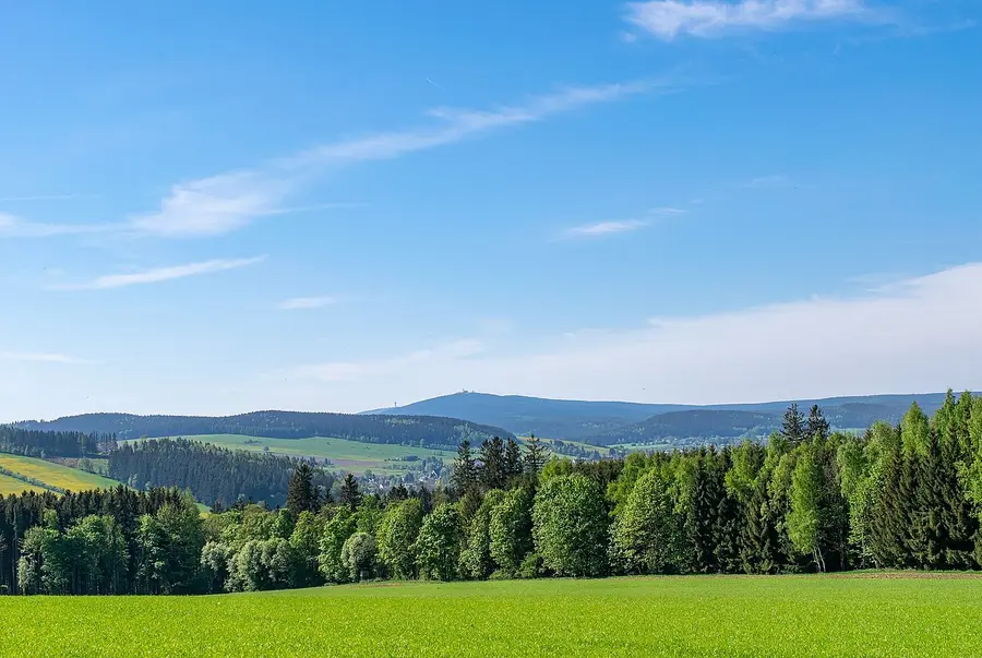 Wiesen und Baumlandschaft im Erzgebirge