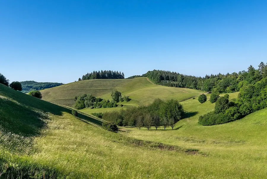 Wellige Hochebene mit Wiese und Büschen