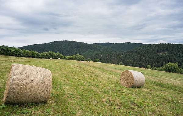 Heuballen auf einer Bergmähwiese
