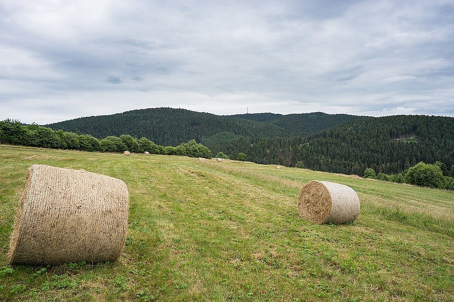 Heuballen auf einer Bergmähwiese