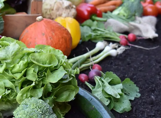 Tisch mit Gemüse wie Salat, Kürbissen