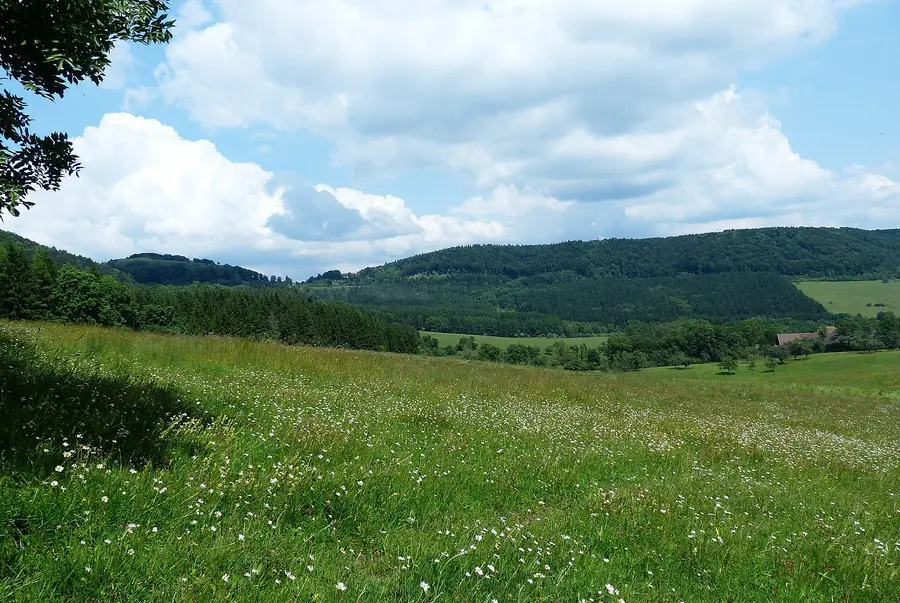 Grüne Wiese mit hügeligem Hinterland