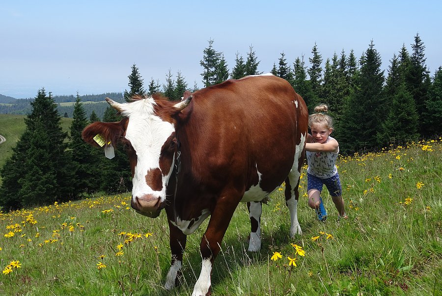 Ein Mädchen schiebt eine Kuh an. Im Hintergrund ist eine Mittelgebirgslandschaft zu sehen.