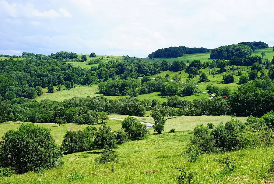 buschige offene Landschaft